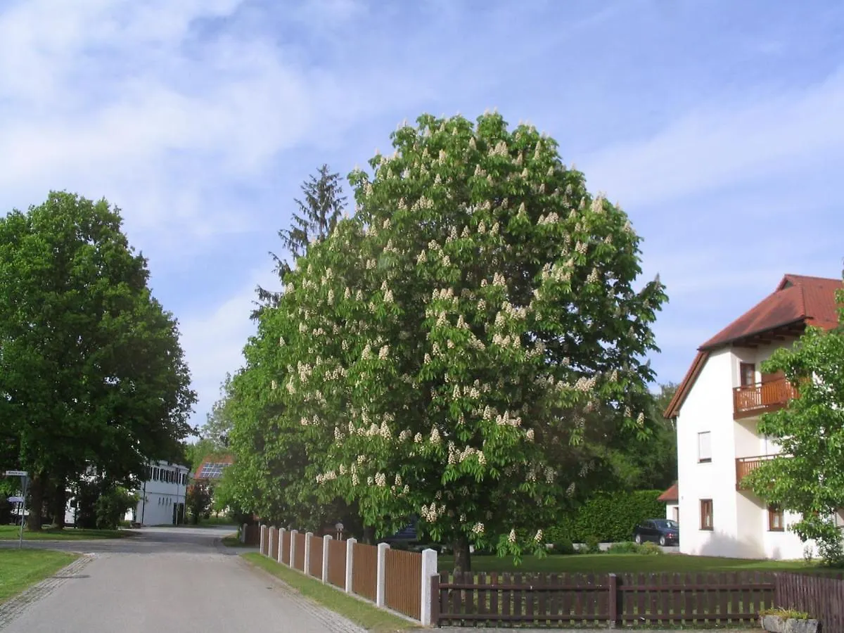 Gasthuis Pension Eva Neuhaus am Inn